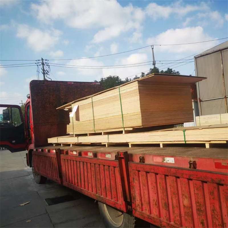 黑龙江绥化庆安县至塔城货运专线，一站式物流服务助您成功